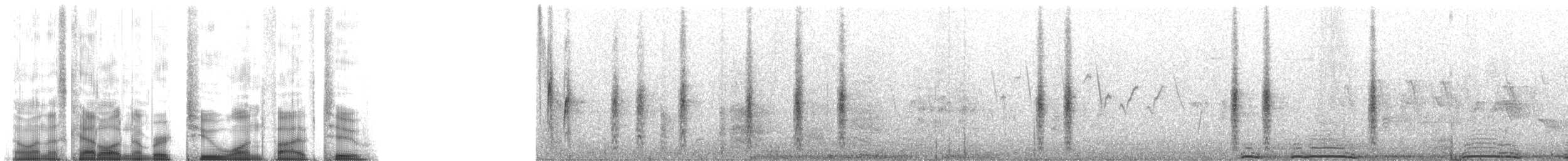 vlhovec červenokřídlý [skupina phoeniceus] - ML2152