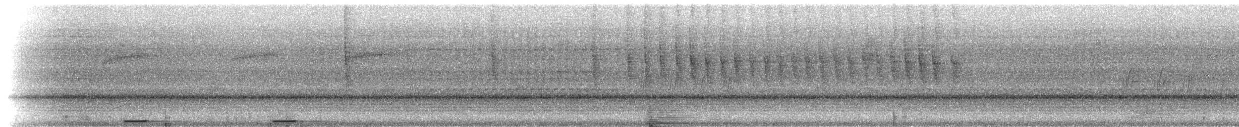 holoubek šedomodrý - ML215202
