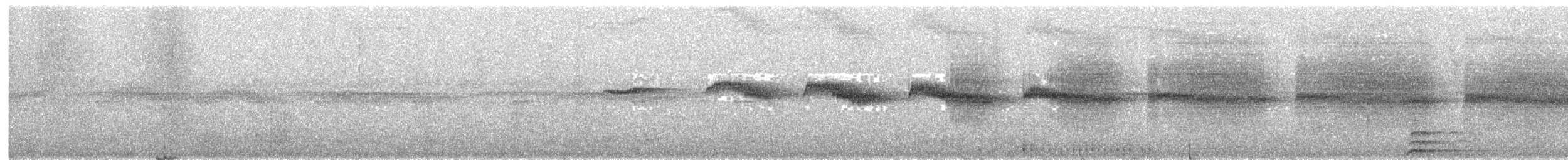 Bindenschwanz-Ameisenfänger - ML215225181