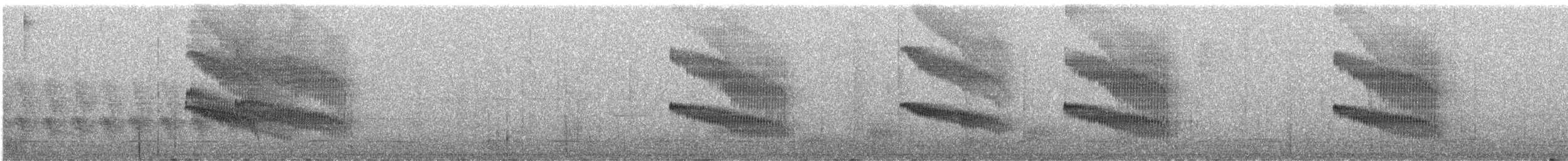 Чернопятнистая гологлазка - ML215227911