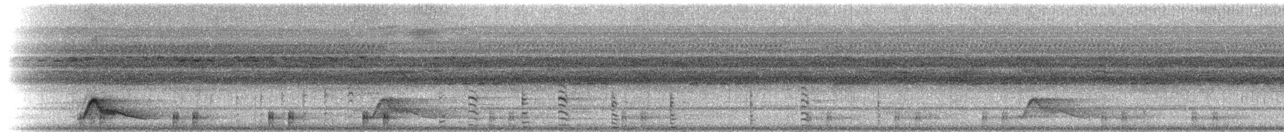 dvergsvømmerikse - ML215229