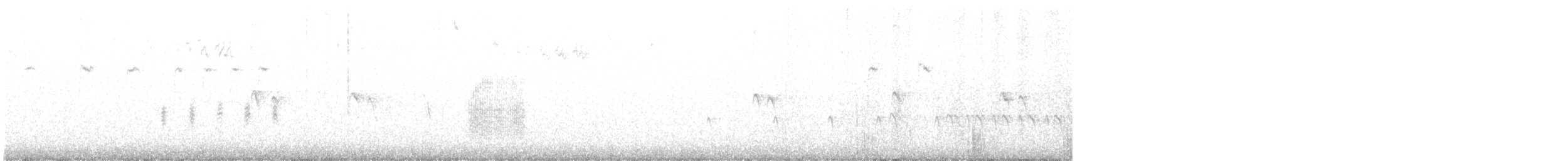 Шишкар ялиновий - ML215232461