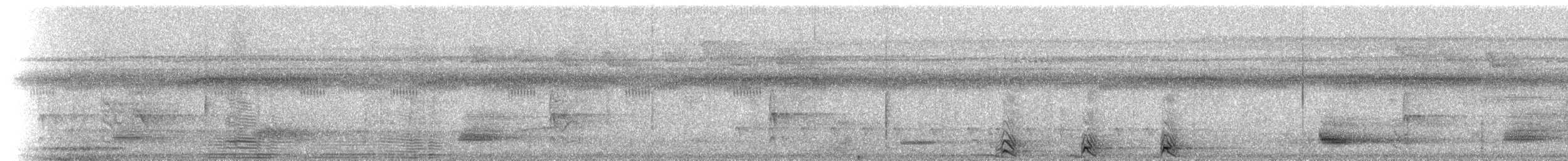 dvergsvømmerikse - ML215239