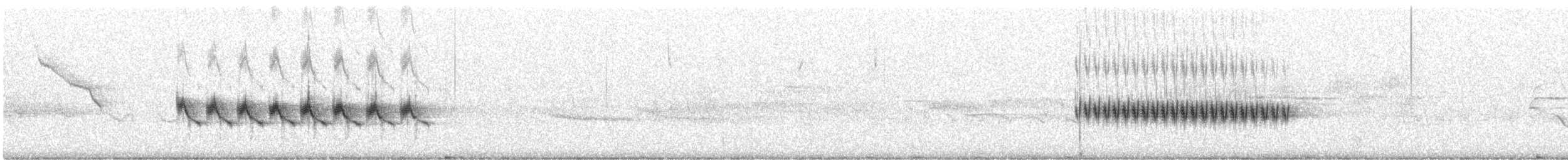 Kaya Çıtkuşu - ML215248961