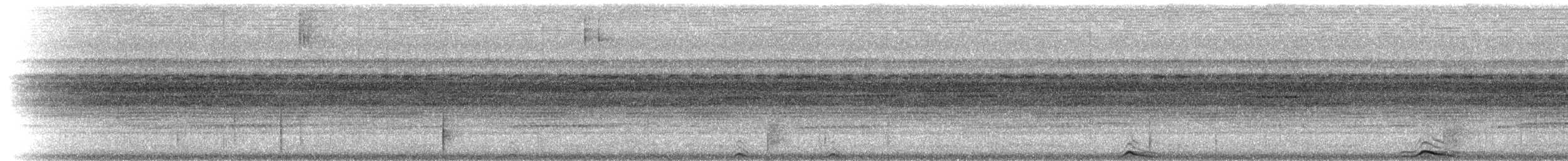 Сова-лісовик бура [група virgata] - ML215249