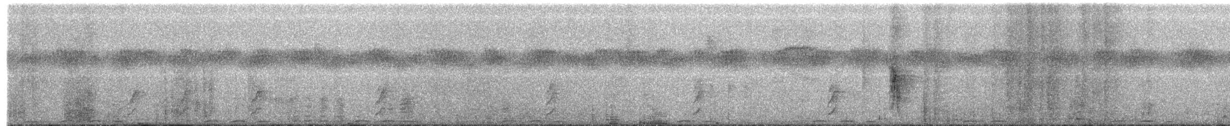 Trompeterhornvogel - ML215252311
