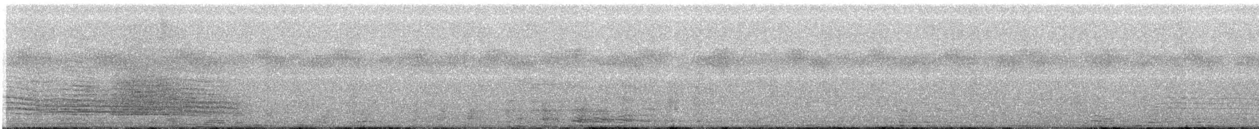 trompeterhornfugl - ML215252321