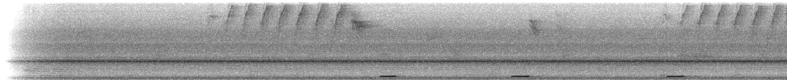 holoubek šedomodrý - ML215281