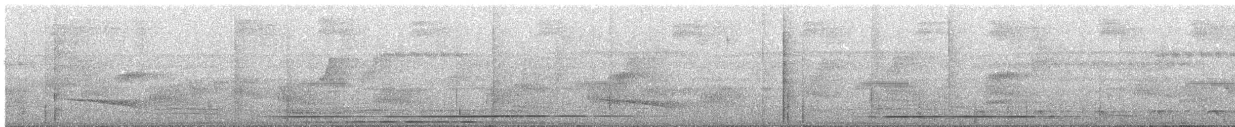 Tinamou à gorge blanche - ML215346491