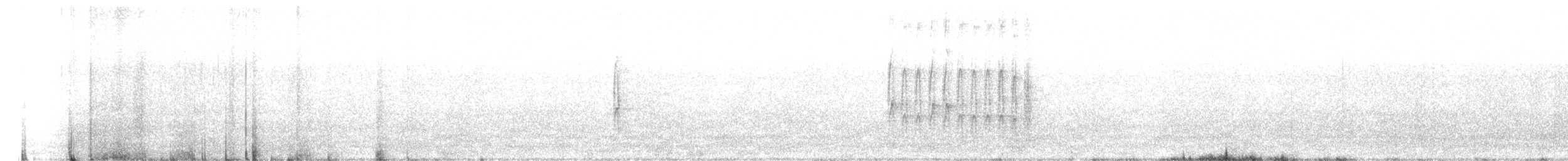 strakapoud proužkohřbetý - ML215348021