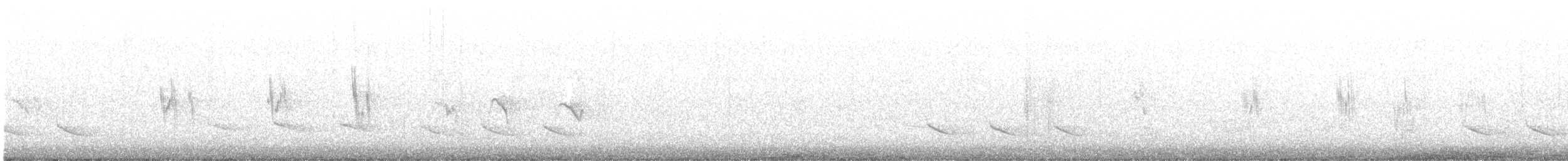 Hirondelle bicolore - ML215356521
