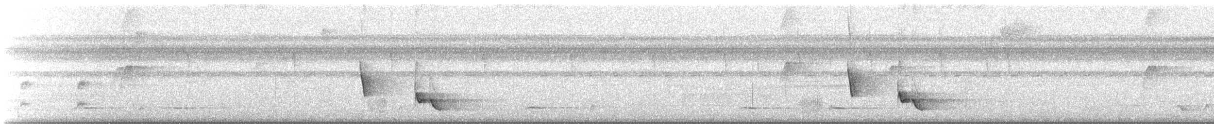 Белоухий крапивник - ML215393431