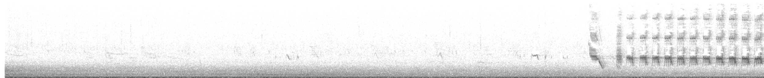 חנקן אדום-גב x חנקן טורקסטני (בן כלאיים) - ML215396451