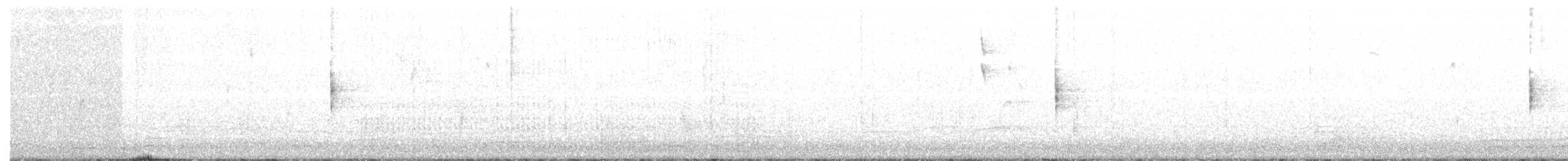 Трясогузковый певун - ML215397501