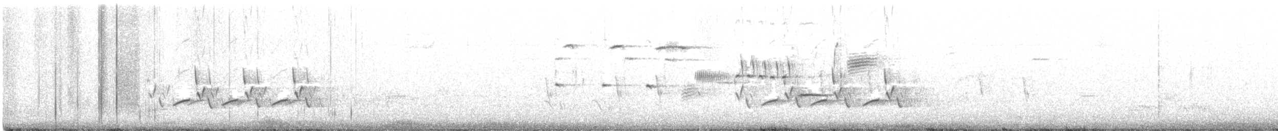 Поплітник каролінський - ML215416071