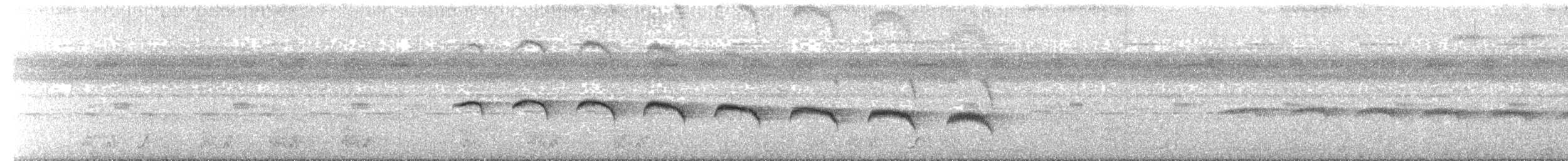 Мурав’янка-прудкокрил жовтоброва - ML215446981