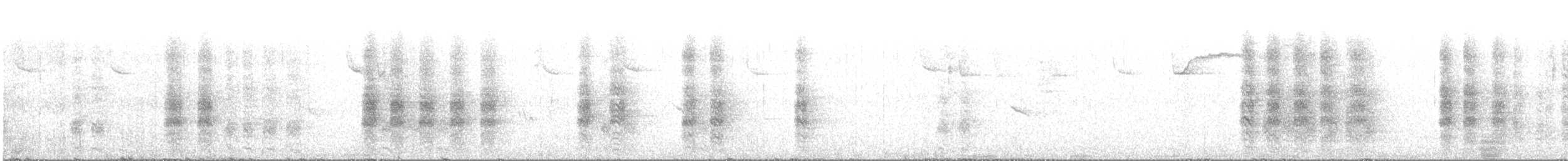 Troglodyte zébré - ML215453711