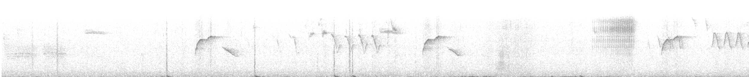 Batı Amerika Sinekkapanı (occidentalis/hellmayri) - ML215454451