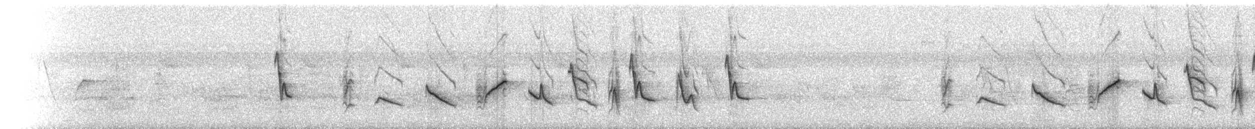 Рисоїд нікарагуанський - ML215456