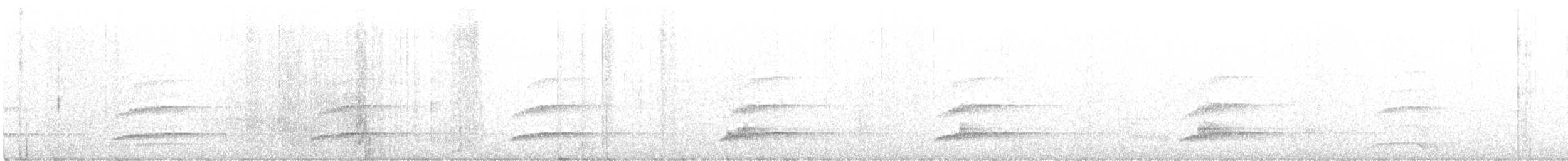 kivi hnědý - ML215465901
