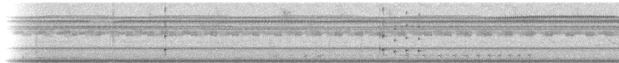 Kuzeyli Bükük Gagalı Tiran - ML215480