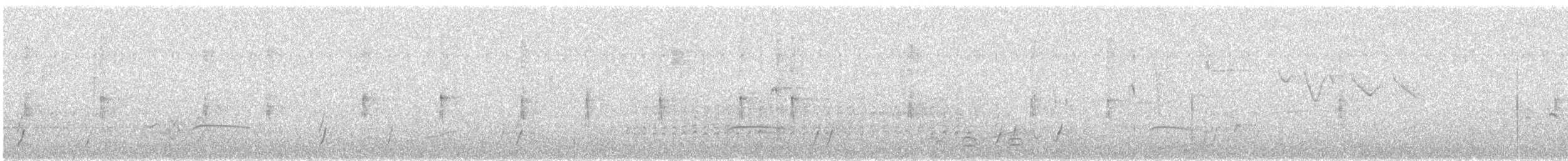 Дрізд-короткодзьоб Cвенсона - ML215515061
