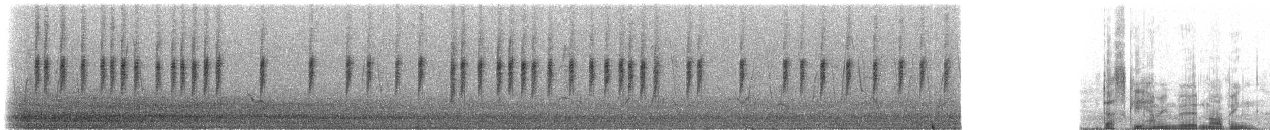 Dusky Hummingbird - ML215601
