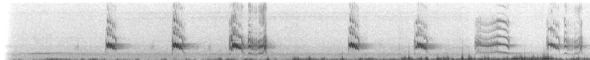 Boat-billed Flycatcher (Northern) - ML215635