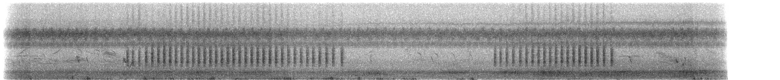 Gartentrupial (Ockerbauchtrupial) - ML215650