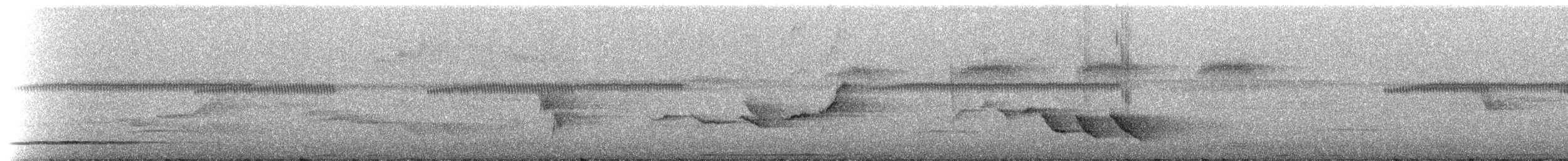 Sumichrast's Wren - ML215664