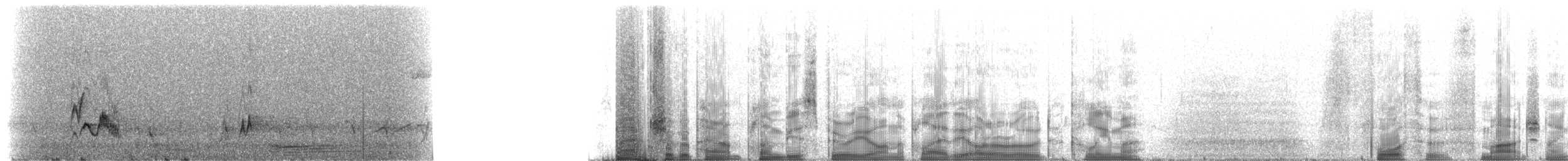 Plumbeous Vireo (Plumbeous) - ML215677