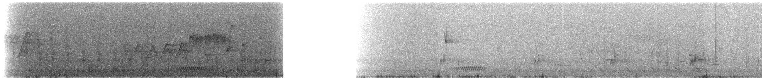 Lesser Ground-Cuckoo - ML215680