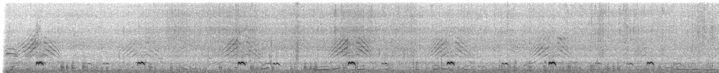 Northern Pintail - ML215699511