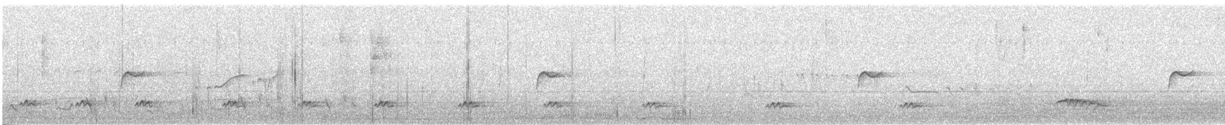 Lesser Ground-Cuckoo - ML215701481