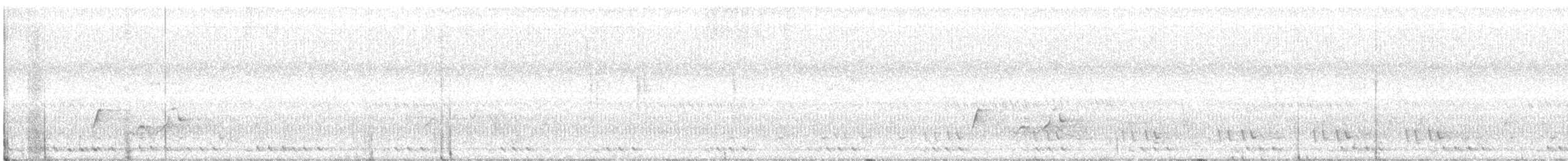 Yeşil Kulaklı Barbet - ML215725071