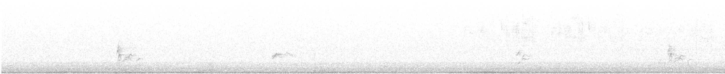 Amerika Çütresi (californicus) - ML215727951