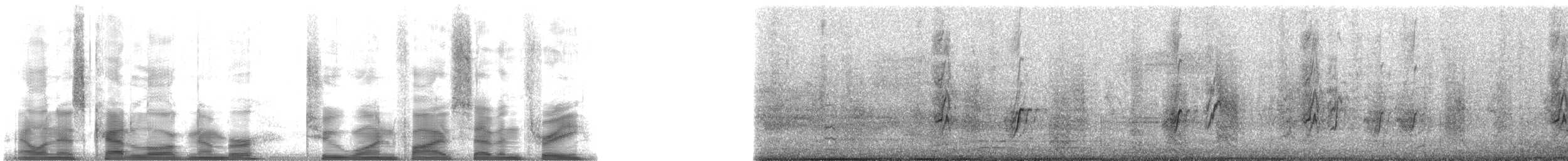 vlaštovka pobřežní - ML21573