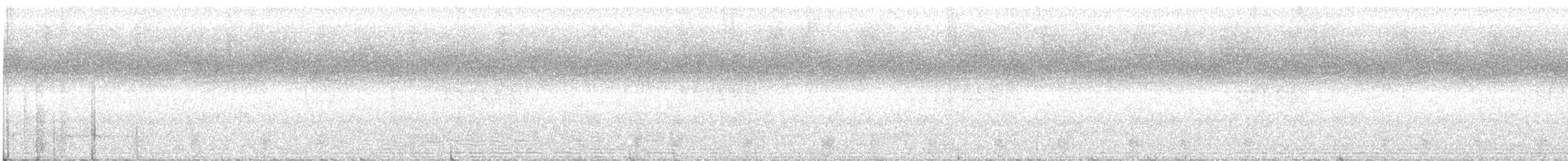 Platylophe longup - ML215732811