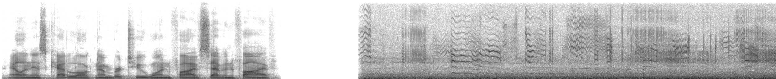 vlaštovka pobřežní - ML21575