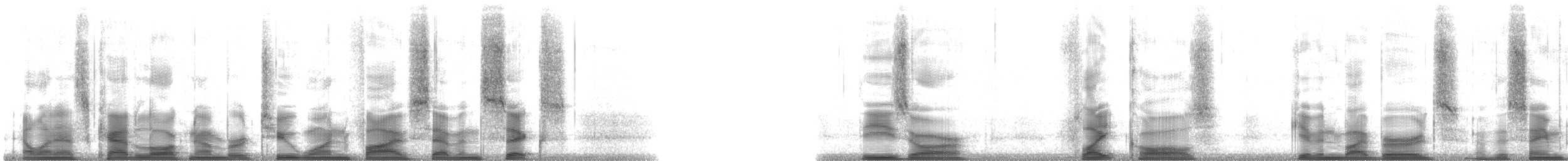 vlaštovka pobřežní - ML21576