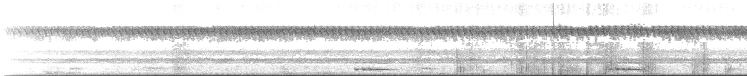 アフリカコノハズク（senegalensis） - ML215806381