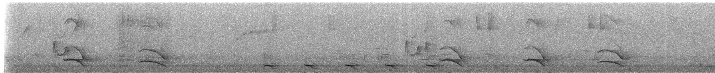 Кокоа плямистий (підвид erythropygius/parvus) - ML215817