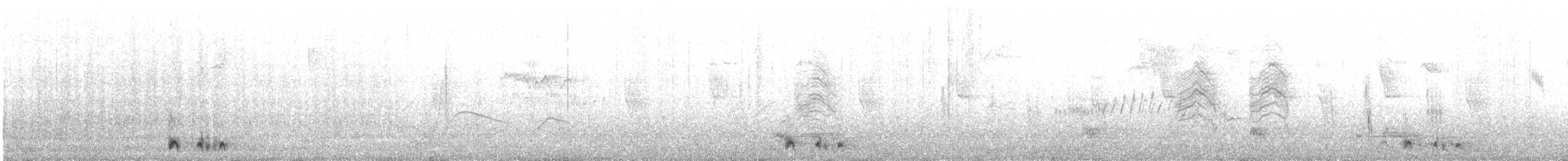 Чернолицый рябок - ML21585121