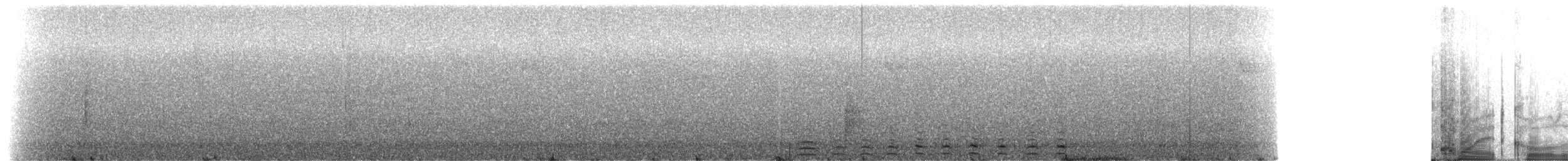 Slaty-tailed Trogon (Massena) - ML215854