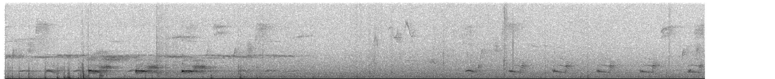 Trogon élégant - ML215947171