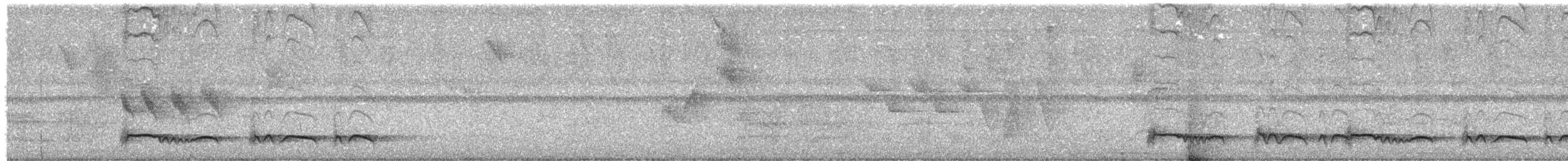 Лінивка-смугохвіст плямистобока - ML215981711