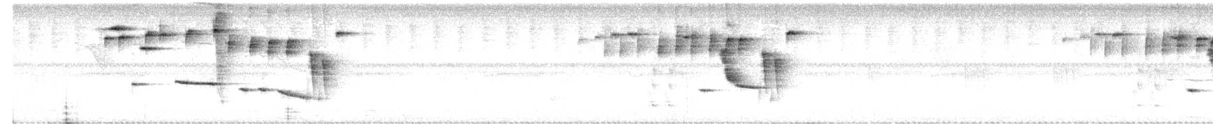 Белобровый певун - ML215982091