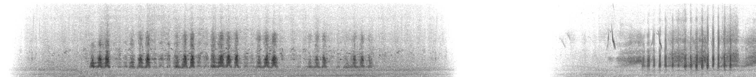 Крижень жовтодзьобий - ML216044361