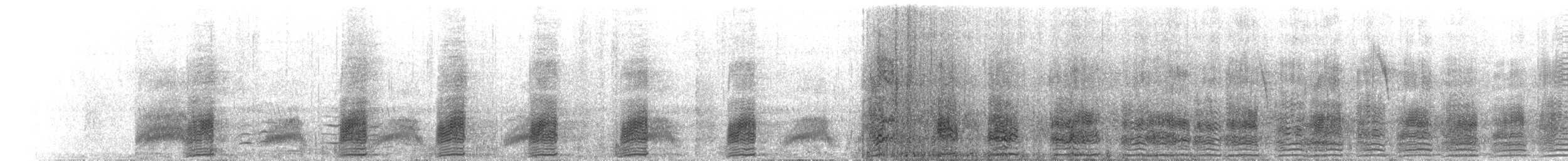 Крижень жовтодзьобий - ML216044681
