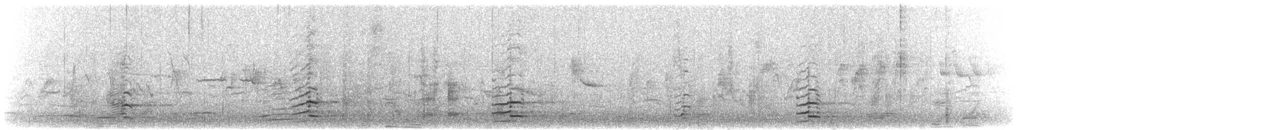 polargås (leucopareia) - ML216095761